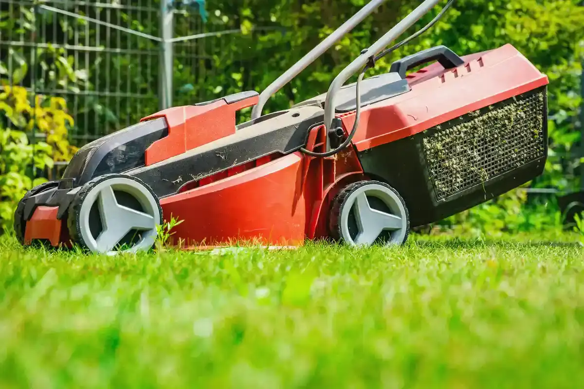Akku-Rasenmäher mit Mulchfunktion - Akku Rasenmaeher mit Mulchfunktion