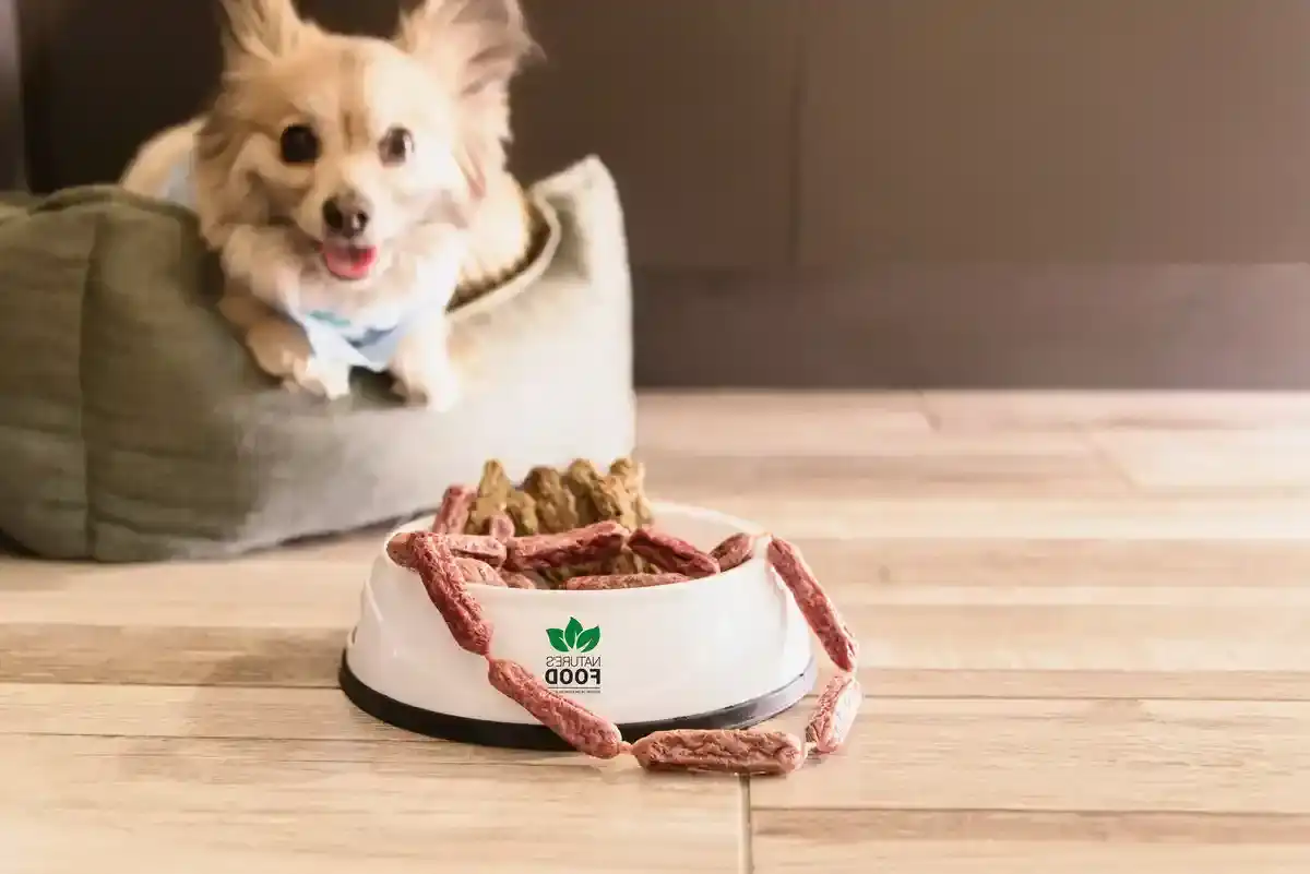 Hundeleberwurst - Hundeleberwurst