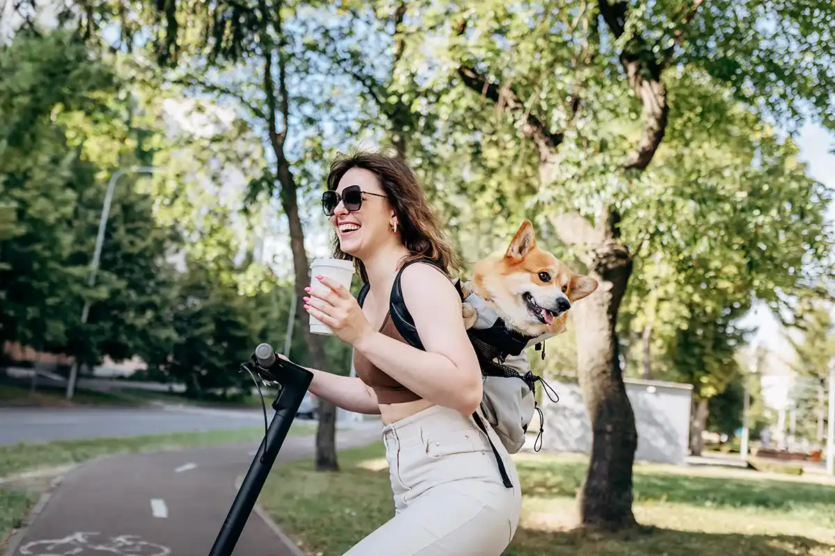 Kaufempfehlung: Die besten E-Scooter mit Straßenzulassung im Test & Vergleich