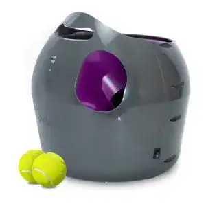 Ballwurfmaschine Hund
