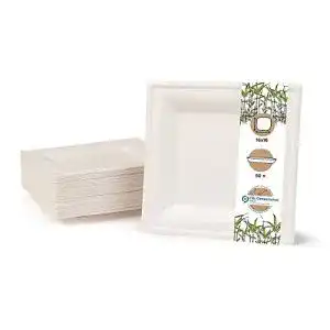 Bio einweggeschirr greenbox umweltvertraeglich bagasse geschirr