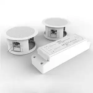 Bluetooth-Deckenlautsprecher