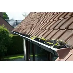 Dachrinnenbuerste hochepied bvba 10 meter 100 cm o12 cm