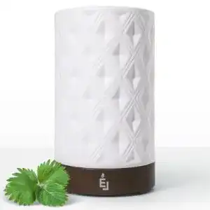 Diffuser earnest living diffusor fuer aetherische oele fuer zuhause