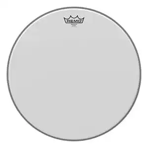 Drum Head
