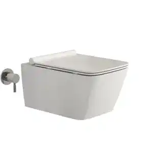 Dusch wc ssww taharet toilette mit geschlossenem spuelrand
