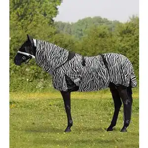 Ekzemerdecke (Pferd)