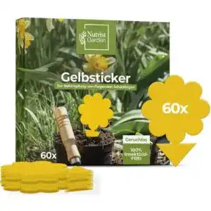 Gelbtafeln nutrist 60x gelbsticker trauermuecken pestizidfreie