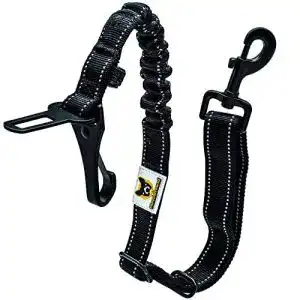 Hunde sicherheitsgurt hundefreund hundegurt fuers auto