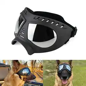 Hundebrille