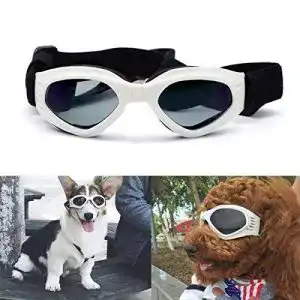 Hundebrille petleso namsan stilvolles und fun tier hundewelpen