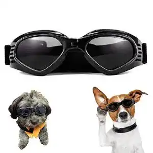 Hundebrille wellxunk hunde sonnenbrille verstellbarer riemen 1
