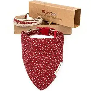 Hundehalstuch pettsie mit halsband und freundschaftsarmband