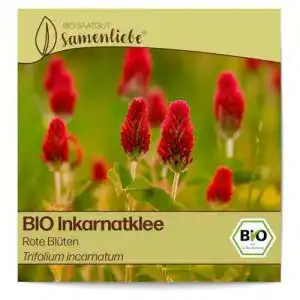 Kleesamen samenliebe bio inkarnatklee samen rote blueten