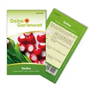 Radieschen samen deine gartenwelt radieschen riesenbutter