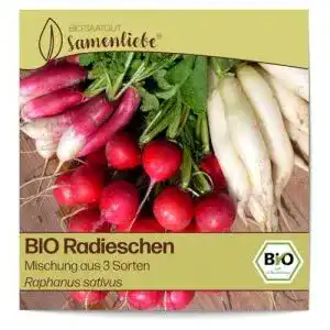 Radieschen samen samenliebe bio radieschen samen 1