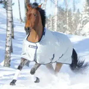 Regendecke pferd bucas power turnout light big neck 135 silber