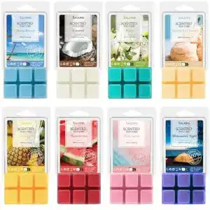 Scentchips salking sommer duftwachs wax melts fuer duftlampe