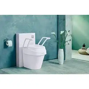 Toilettensitzerhoehung lupsty dietz smartfix 429112 mit armlehnen