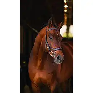 Trensenzaum horseware rambo new micklem multi proffesional
