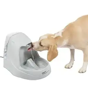 Trinkbrunnen hund petsafe drinkwell trinkbrunnen platin filtert