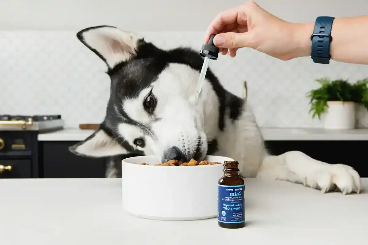 Biotin für Hunde - Biotin fuer Hunde 2