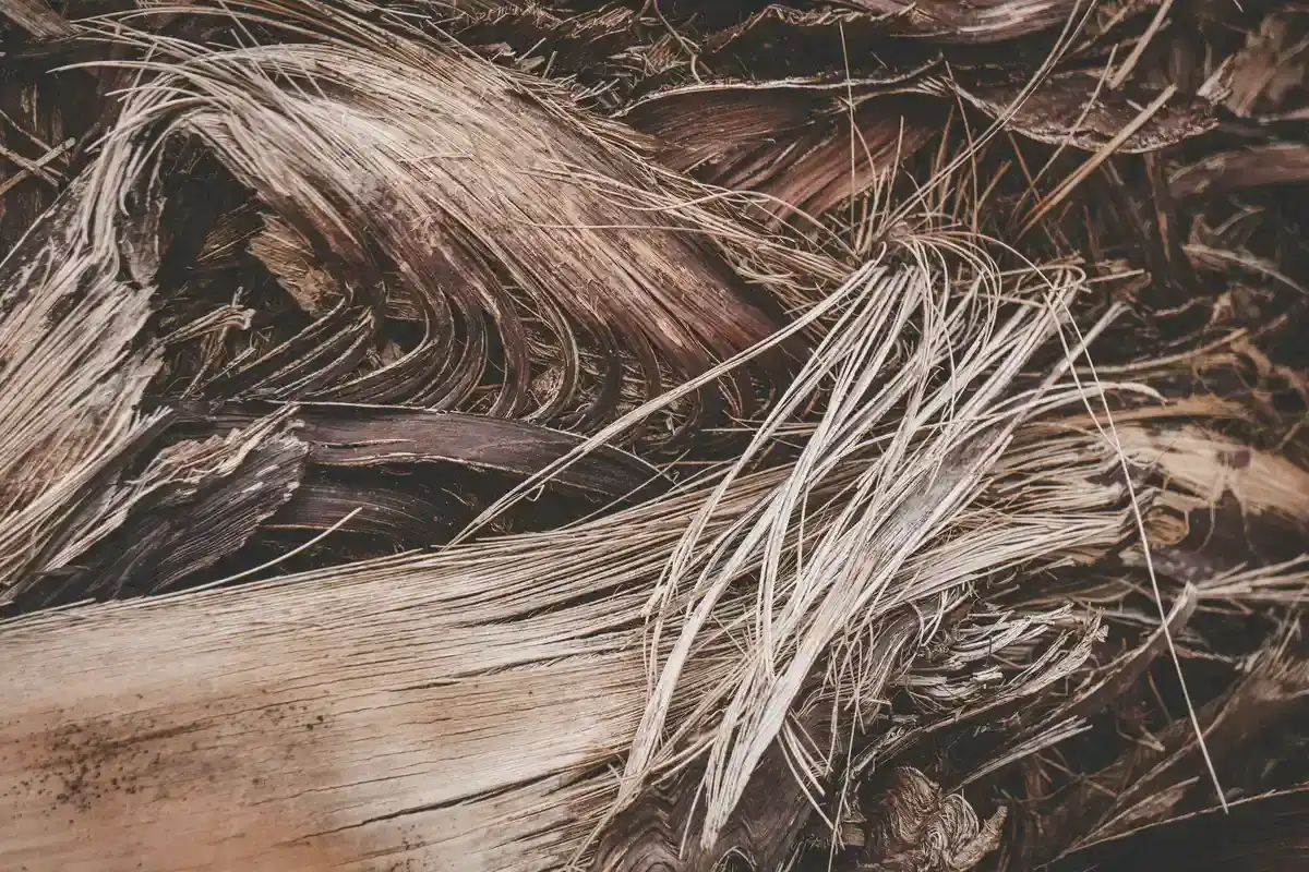Haarfärbemittel Herren - Haarfaerbemittel Herren 2