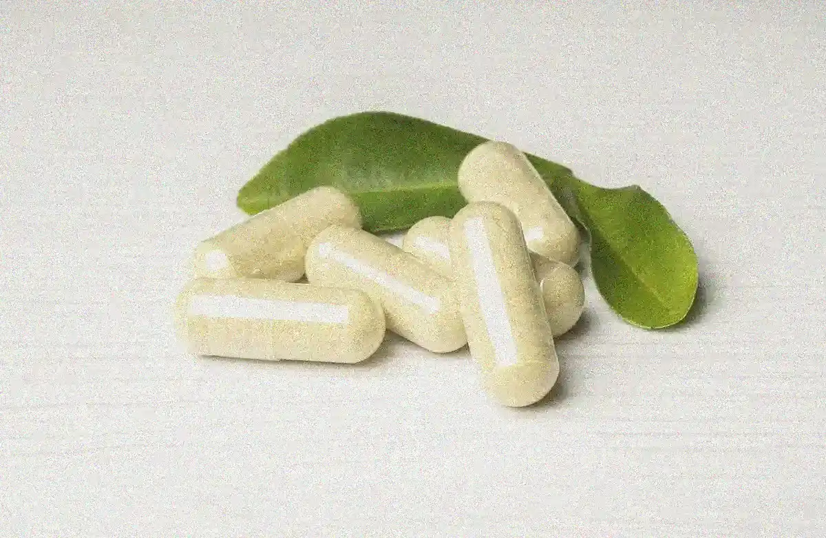 Heilerde - Heilerde 2