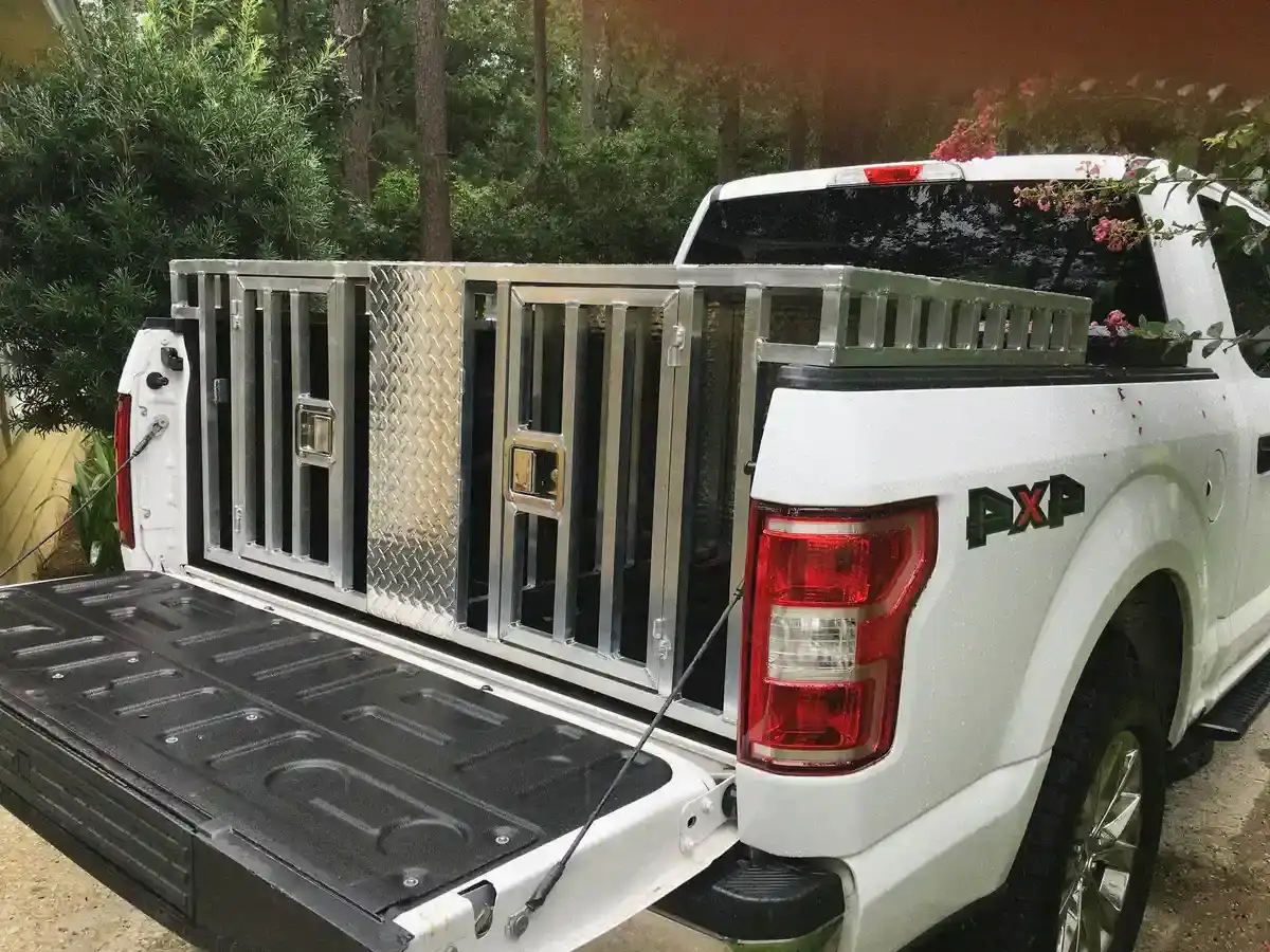 Hundebox Auto - Hundebox Auto 2