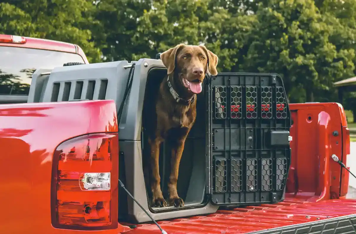 Hundebox Auto - Hundebox Auto