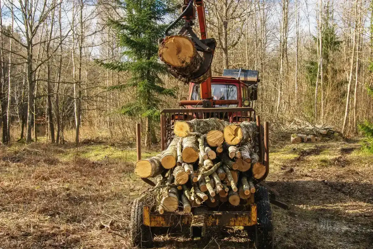 Holzspalter 230V - Holzspalter 230V