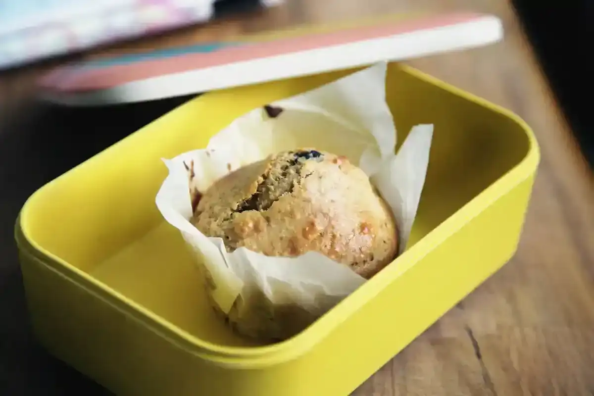 Lunchbox Lunchbox - Lunchbox