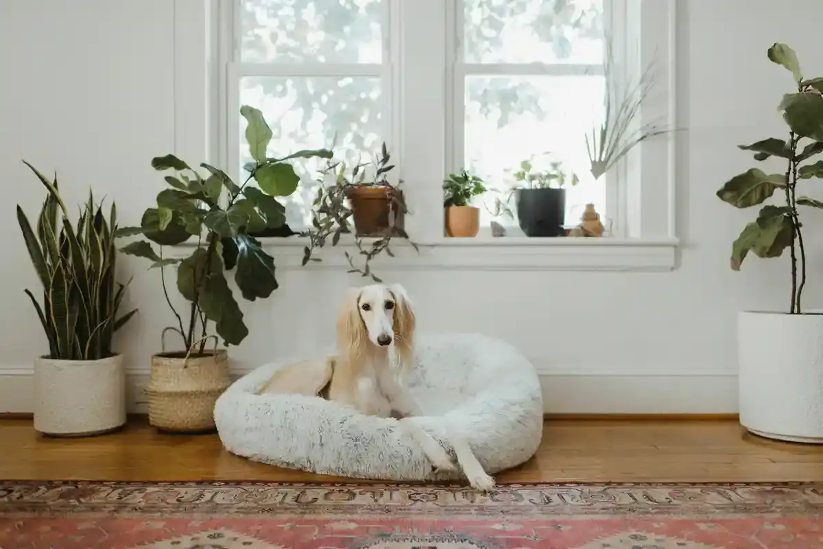 Bedsure-Hundebett - Bedsure Hundebett 2