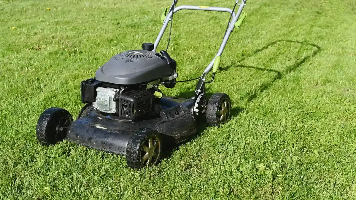 Black-und-Decker-Rasenmäher - Black und Decker Rasenmaeher