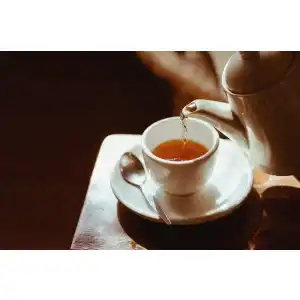 Erdrauch