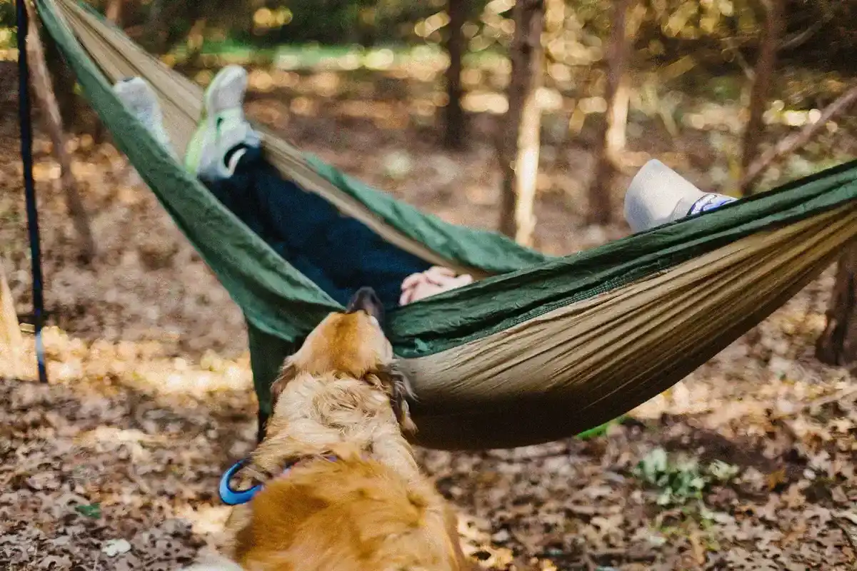 LA-SIESTA-Hängematte - LA SIESTA Haengematte 2