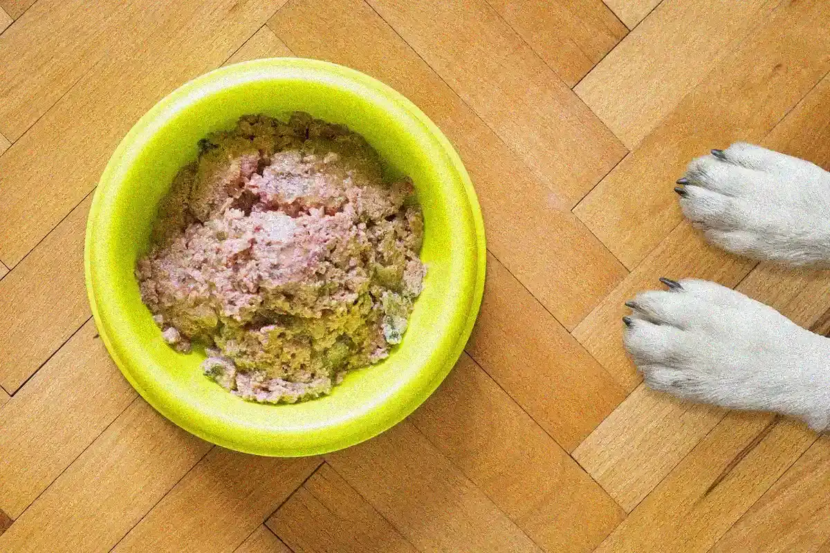 Magnusson-Hundefutter - Magnusson Hundefutter 2