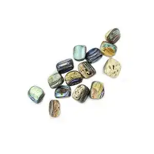Abalone muschel hinleise abalone paua muschelperlen