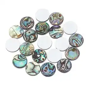 Abalone muschel superfindings 20pcs 12mm natuerliche