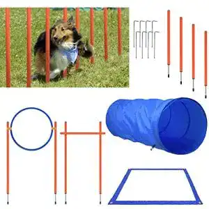 Agilitygeraete aufun agility ausruestungs set fuer hunde training
