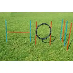 Agilitygeraete wuzzmann agility beginner set rot blau