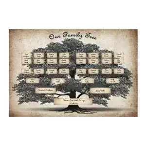 Ahnentafel favourall family tree diagramm 6 generation