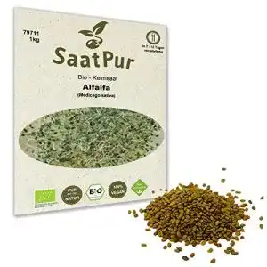 Alfalfa saatpur 1 kg bio keimsprossen samen keimling sprossen