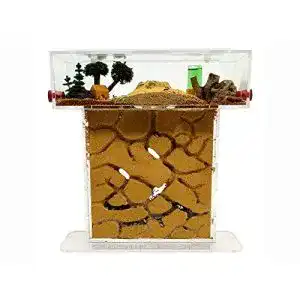 Ameisenfarm anthillshop natuerliche aus sand acryl t kit