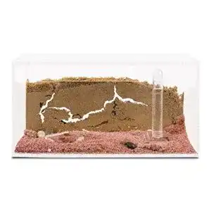 Ameisenfarm anthouse natuerliche aus sand acryl starter set