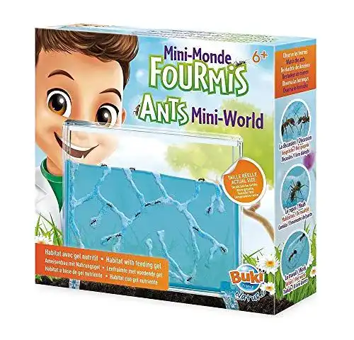 Ameisenfarm Buki FS4206 – Mini-Ameisenwelt für Kinder ab 6 Jahren
