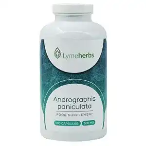 Andrographis paniculata 500 mg 500 kapseln