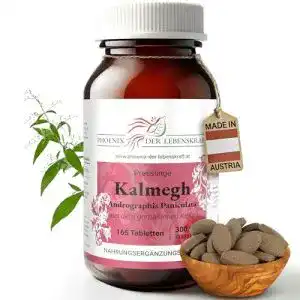 Andrographis phoenix der lebenskraft kalmegh tabletten 300 mg