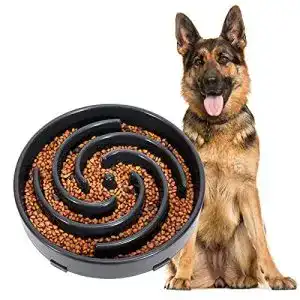 Anti schling napf hund werforu langsame fuetterung 1