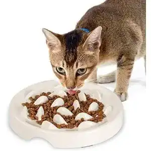 Anti schling napf katze lionwei lionweli anti schling napf